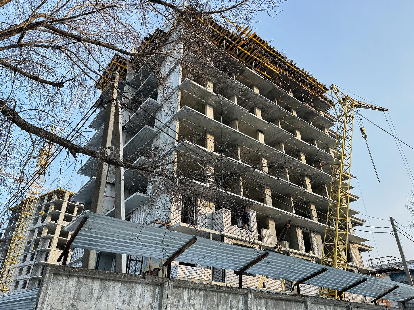 Январь 2024